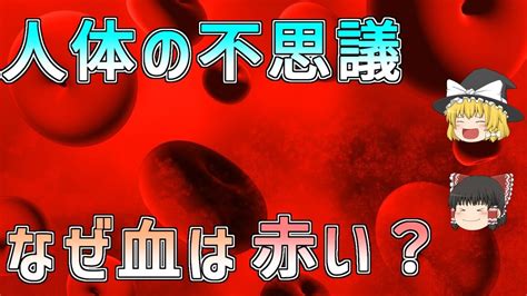 血管青色|血液は赤色なのになぜ血管は青く見えるのか？ 